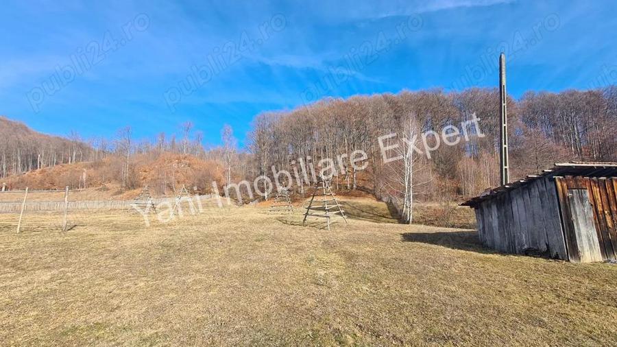 Teren de vanzare in comuna Cicane?ti, Jude? Arge?. - 7