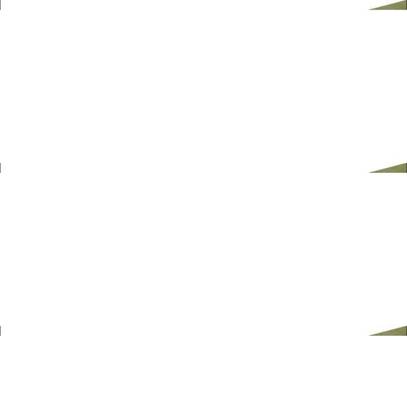 Teren cu cabanuta de vanzare Pascoaia Brezoi Valcea - 2