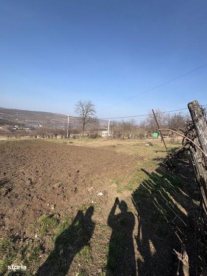 teren aroneanu 2000 mp deschidere 30 ml toate utilitatile 75 euro mp - 3