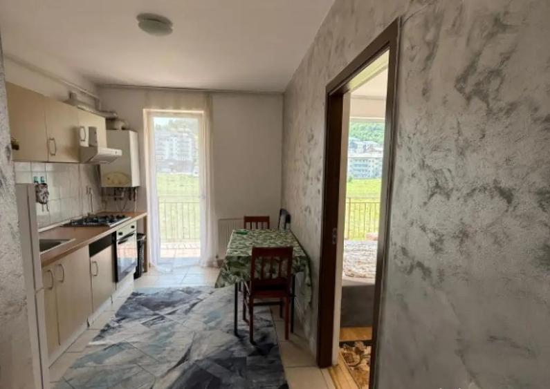 Apartament 1 camera decomandat Porii - 4