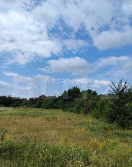 Teren intravilan, de vanzare. 600 mp, zona Priseaca Teren intravilan, de vanzare. 600 mp, zona Priseaca