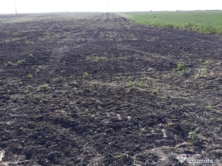 Teren agricol extravilan 15000mp - 1