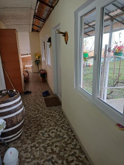 Sarateni, Vaslui - 5