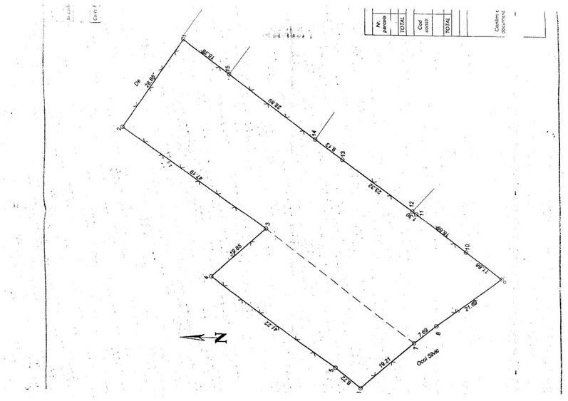 Teren intravilan in Zaicesti zona Conacului cu latura de padure - 4