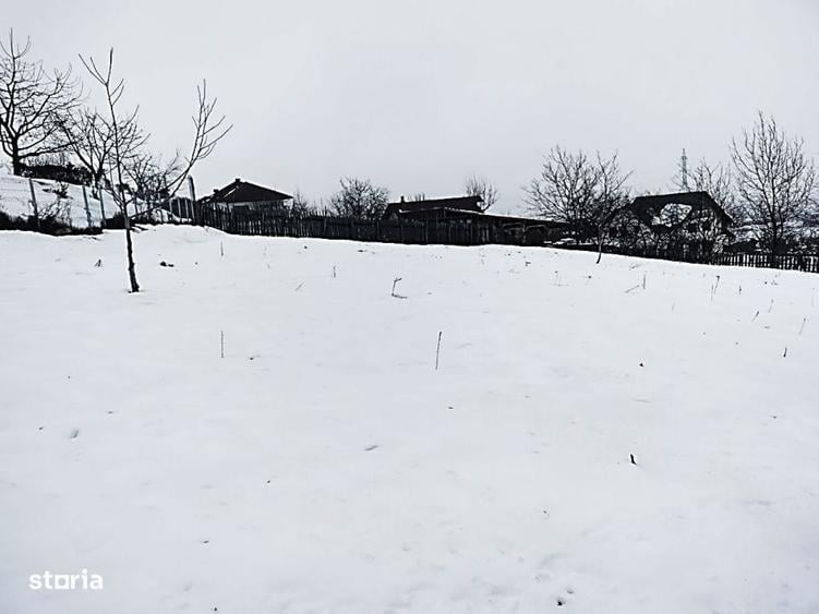 1400 mp. Deschidere 38 m Teren Intravilan CETATE Valea Popii utilitati - 4