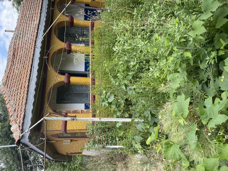 Casa batraneasca - 4