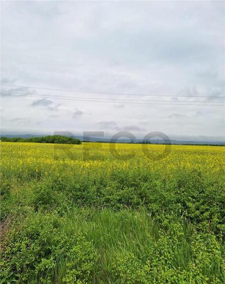 Reco, teren intravila la E60 sacadat - 1