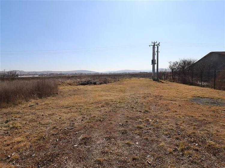 Teren intravilan 9359 mp  |  hala 786 mp | Apahida | zona Libertatii - 8