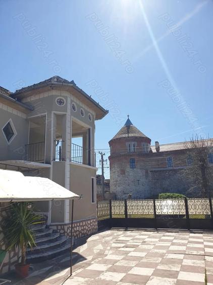 casa de vanzare Ineu-Arad - 3