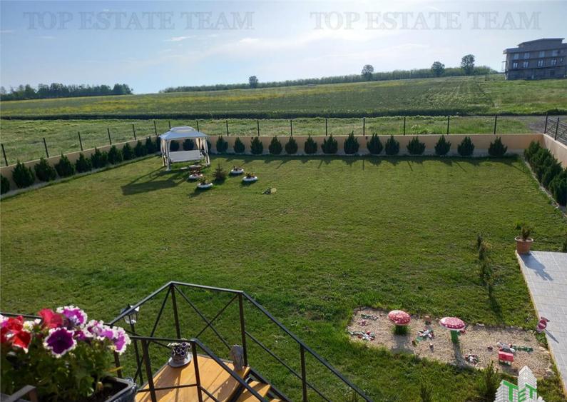 VILA TURISTICA SUPERBA COSTINESTI - 13