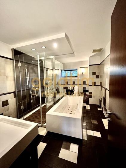 VILA SUPERBA+CASA OASPETI/PISCINA/IESIRE LAC-PONTON/DEBARCADER/GARAJ/SERA/SNAGOV - 31