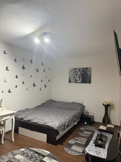 Apartament de vanzare 1 camera - 3
