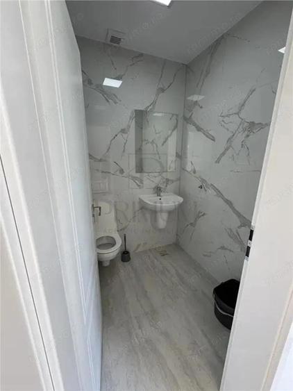 Spa #539;iu comercial disponibil imediat - 1