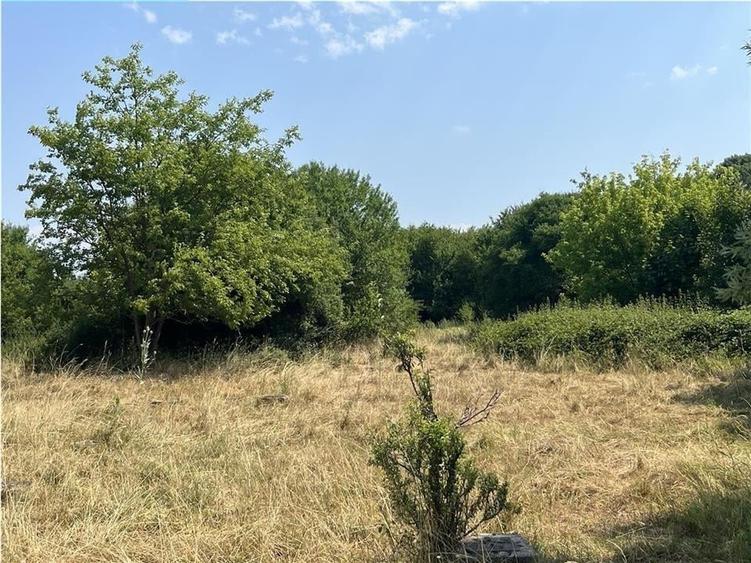 RECO Teren intravilan Tileagd 2337 mp - 4