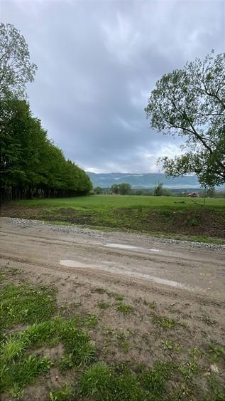 Teren intravilan Tocile Sadu jud. Sibiu Priveliste superba - 7