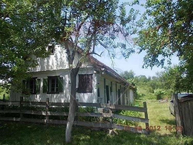 Teren 2877 mp, cu casa batraneasca de vanzare, BOGDA Timi? - 3