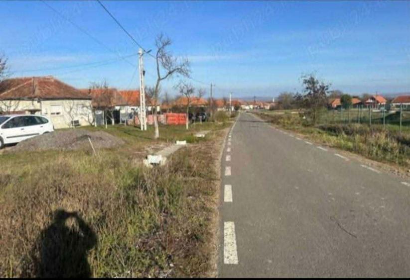 Teren intravilan Sarand , jud Bihor - 1