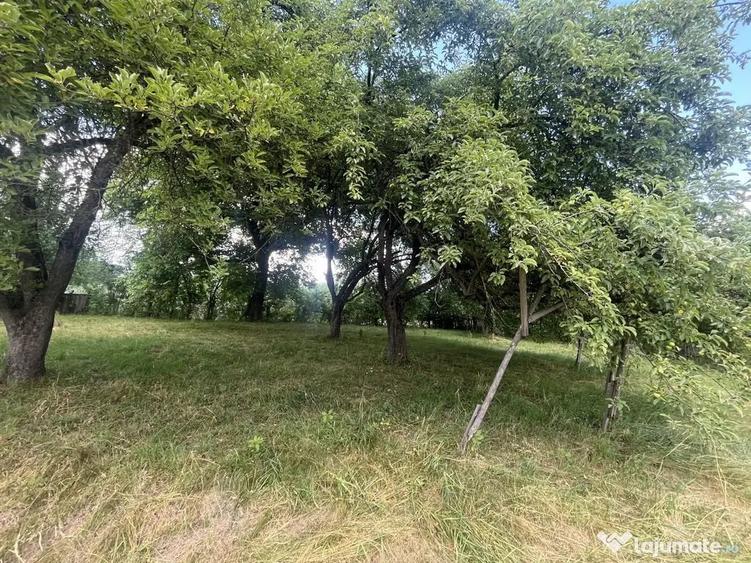 Casă cu 2 camere cu Teren 1424 Mp în Păpăuți