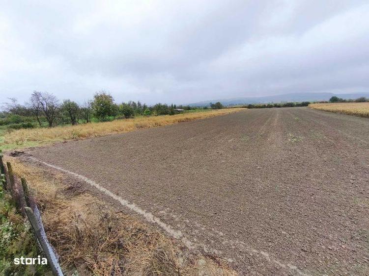 Teren de 15000 mp, în Băla