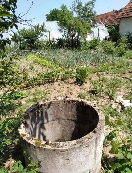 Casă cu 3 camere cu Teren 3000 Mp în Fârliug