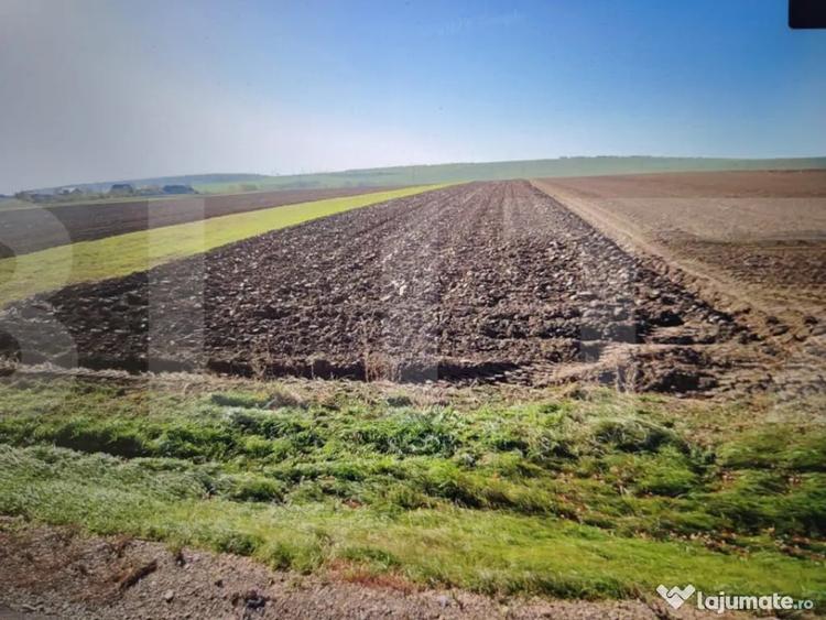 Teren în Brăești