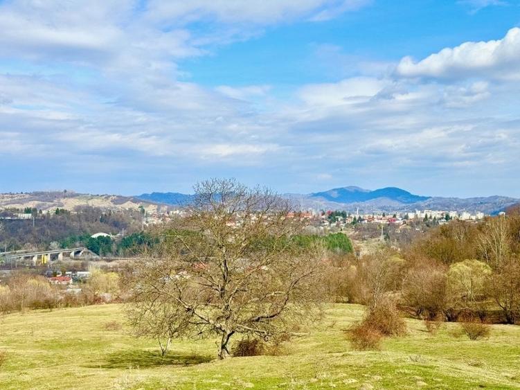 Teren Construcții intravilan de 8200 mp, în Câmpina