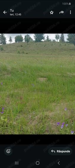 Teren de 7000 mp, în Horea