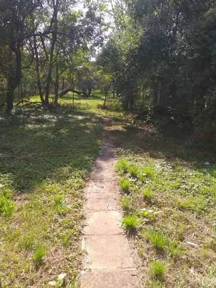 Vand casa in Vascau, judetul bihor - 5