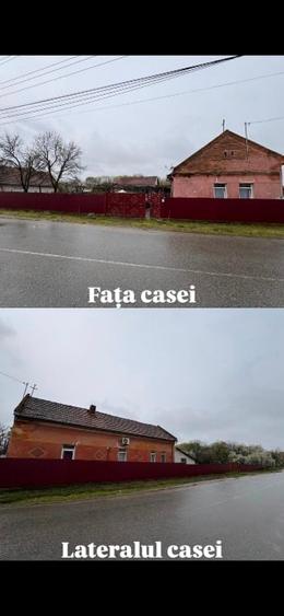 Casă + teren 2319 mp în centrul satului Sacoșu Mare, aproape de Lugoj - 2