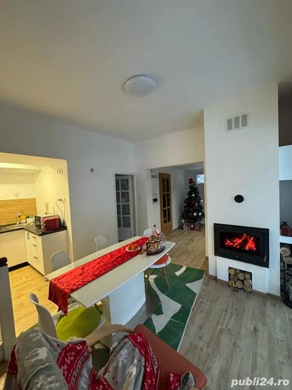 Vand vila cabana in Muntele Baisorii - 9