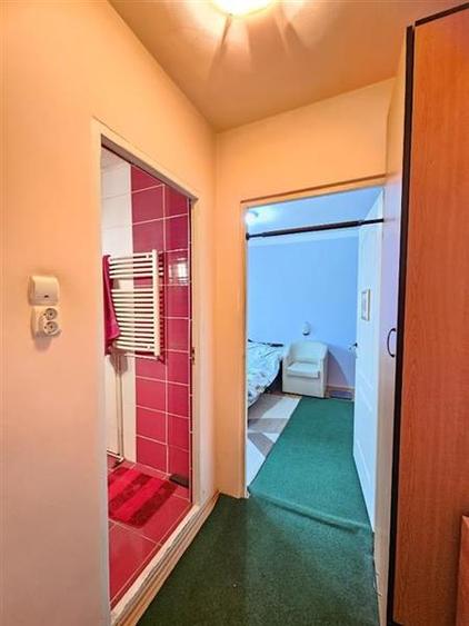 Apartament 2 camere Piata Armatei etaj 3 mobilat utilat. - 9