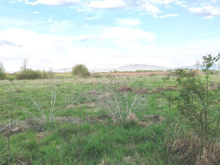 Teren ideal pentru casa de vacanta sau locuinta permanenta, la marginea padurii - 6