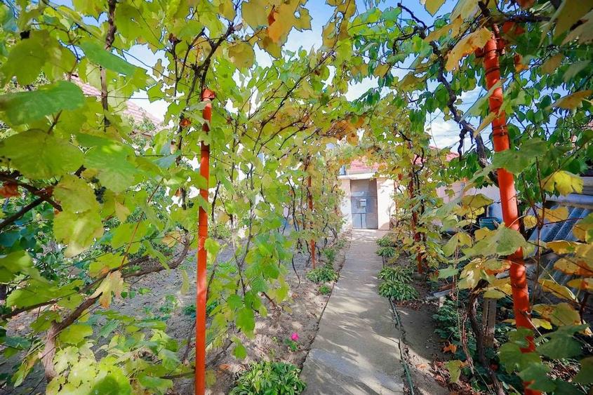 Casă cu 2 camere de vânzare în zona Ioșia Strada Arțarilor - 19