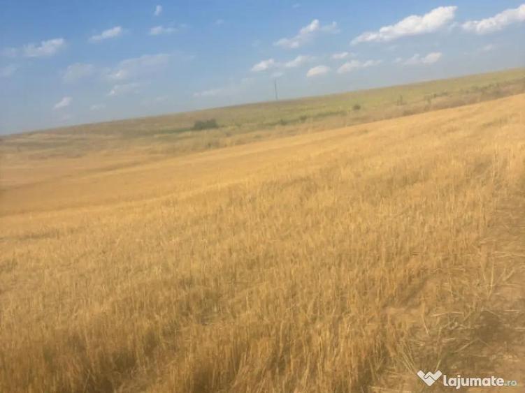 Teren intravilan, 500mp, zona Malu Mare, comision 0% - 3