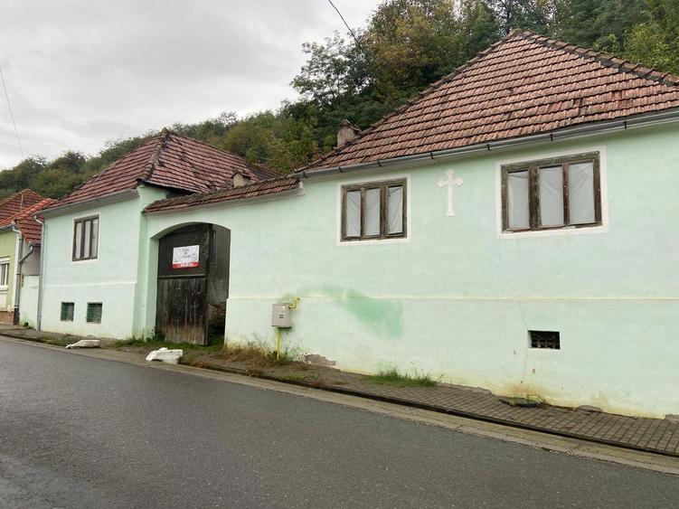 Casa la tara de vanzare - 2