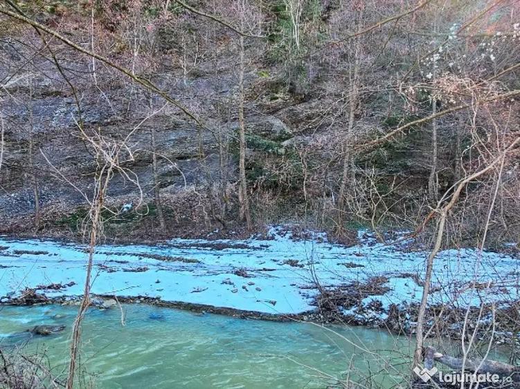 Casa P+M si 1400 mp teren,langa parau si padure, com.Piatra Soimului - 8