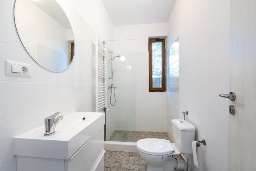 Vanzare Vila cu piscina Iancu Nicolae - 11