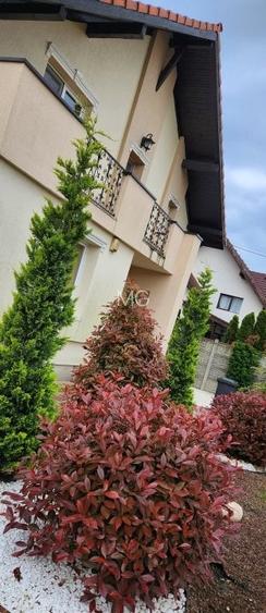 Vila Individuala La Cheie -  DIRECT PROPRIETAR  792 mp