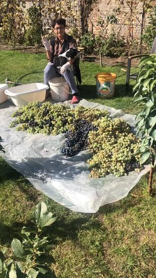 Casa vanzare Casa Tineretului Craiova - 7