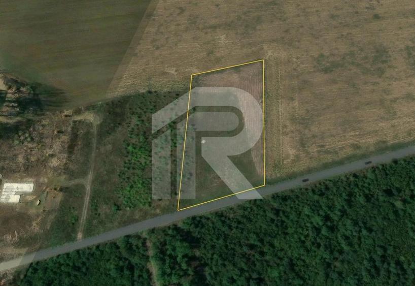 BALOTESTI - EDENLAND -  ideal investitie - Teren 5.254 mp, lângă pădure - 5