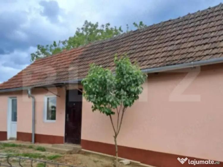 Doua case intr-o curte de 952 mp, Paleu-liniste, spatiu, po - 8