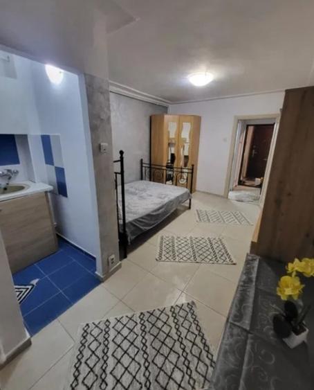 Apartament cu 1 camera in Tudor Vladimirescu - 7