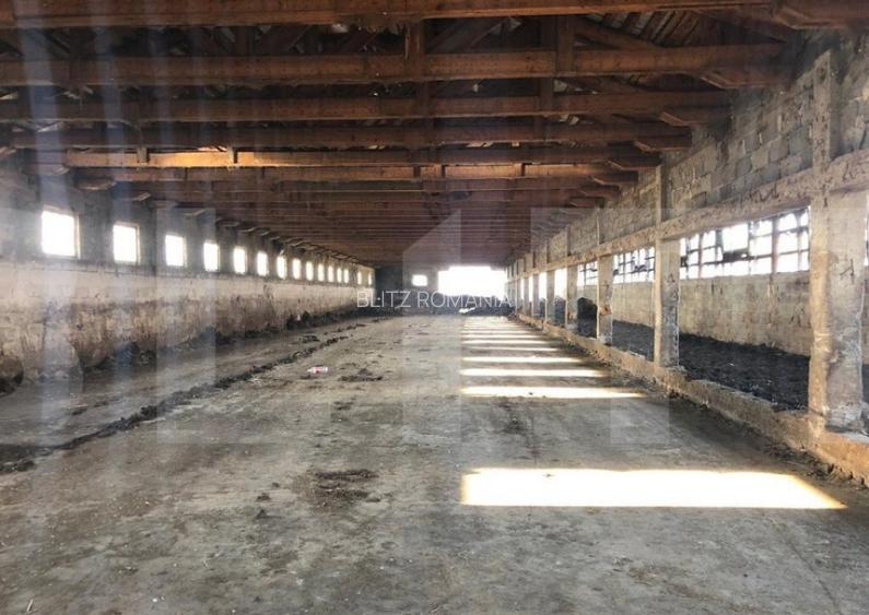 Ferma de vanzare in jud. Covasna, suprafata teren 4824 mp Ferma de vanzare in jud. Covasna, suprafata teren 4824 mp