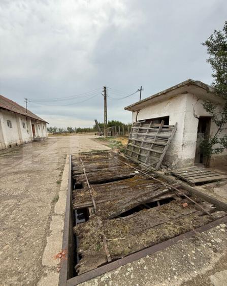 Ferma de Vanzare in judetul Timis, la nord est de Timisoara, - 34