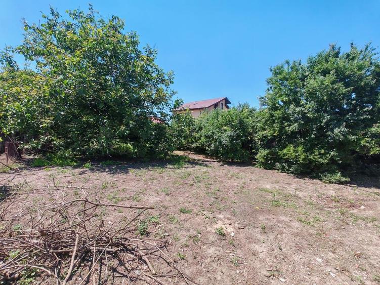 Oferta unica-teren stradal- Bulevardul 1 Mai, Berceni - 3