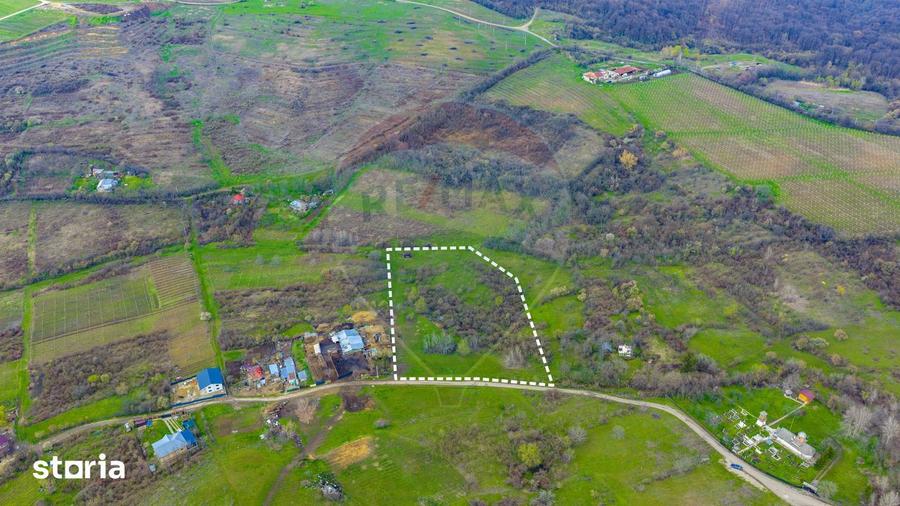 Teren 33.500 mp-Valea Orlei, Prahova/ COMISION 0% - 1
