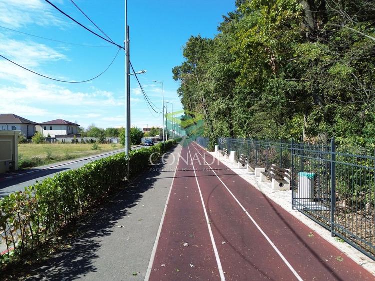 Teren - Voluntari - vis a vis de Padure - 10.000 mp - 4