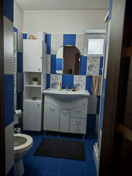 Casa renovata complet, 3 dormitoare, 780 mp teren zona excelenta Pec - 4