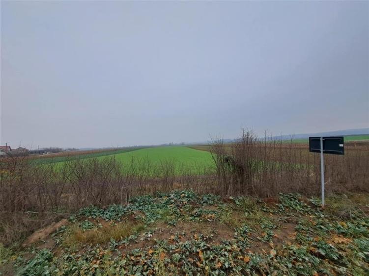 RECO teren Chiribis - 1