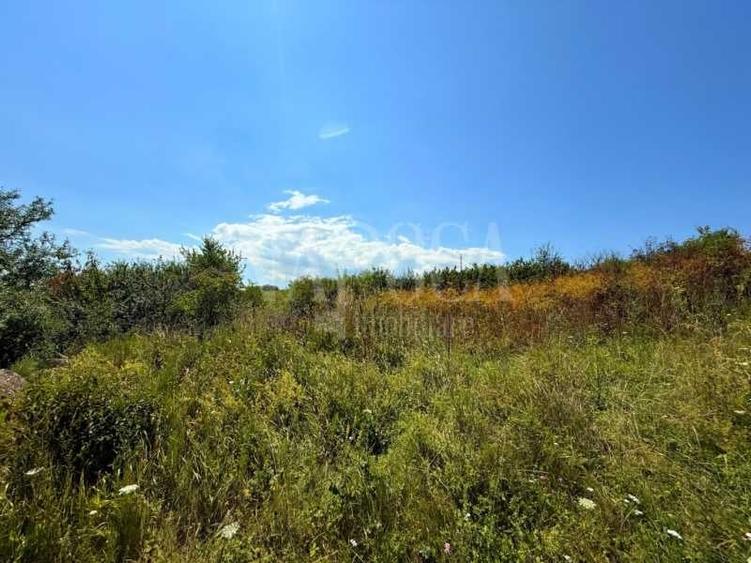 Teren intravilan pentru constructii de vanzare in Chinteni - 2